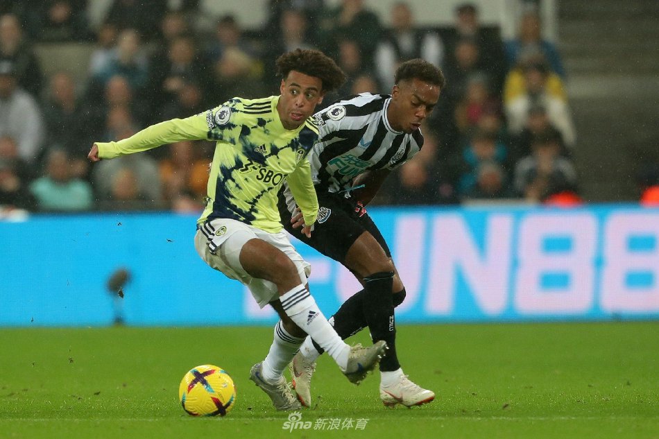 的坚韧与毅 的坚韧与毅